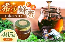 日本みつばち菊鹿約405g【山麓はっち】 [ZBM010] 蜂蜜 はちみつ ハチミツ 熊本県 特産品
