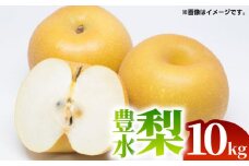 【先行予約】【数量限定】豊水 梨 約10kg（20～40玉）【くまふる】 [ZBG017]