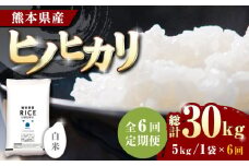 《 新米先行予約 》【全6回定期便】2025年10月より順次発送  ヒノヒカリ 白米 5kg【有限会社  農産ベストパートナー】定期便 5kg 精米 特A ヒノヒカリ ひのひかり コメ 米 お米 熊本県 熊本県産 [ZBP004]