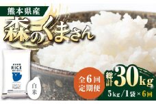 《 新米先行予約 》【全6回定期便】2025年10月より順次発送  森のくまさん 白米 5kg【有限会社  農産ベストパートナー】定期便 5kg 精米 森のくまさん 特産品 コメ 米 お米 熊本県 熊本県産 白米 ごはん  [ZBP026]