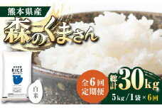 【全6回定期便】 森のくまさん 白米 5kg【株式会社  農産ベストパートナー】定期便 5kg 精米 森のくまさん 特産品 コメ 米 お米 熊本県 熊本県産 白米 ごはん  [ZBP026]