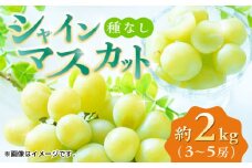 【先行予約】【数量限定】 シャインマスカット 約2kg 3～5房 ぶどう 種なし  葡萄 ブドウ ぶどう 皮ごと食べられる 旬 果物 国産 熊本県 特産 シャイン マスカット フルーツ くだもの 種なし 山鹿市 【合同会社 福福堂】[ZCN008]