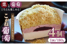 【先行予約】こがね葡萄 4個入り【RICO DOLCE】 モンブラン ケーキ スイーツ 熊本県 ぶどう 葡萄 栗 クリ 和栗 ブドウ  [ZDD002]
