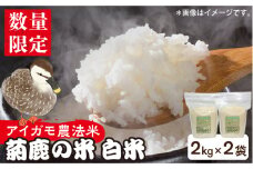 【新米先行予約】【数量限定】菊鹿の米 アイガモ農法米 白米 2kg×2袋【有限会社 あそしな米穀】お米 熊本 ごはん 精米  [ZBI004]