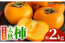 【先行予約】【数量限定】太秋 柿 約2kg【くまふる】 [ZBG015]