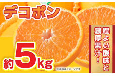 【先行予約】【数量限定】デコポン 約5kg 12玉～20玉【くまふる】 [ZBG008]