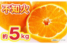 【先行予約】【数量限定】不知火 約5kg【くまふる】柑橘 果物 熊本県  [ZBG010]
