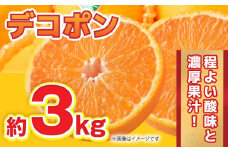 【先行予約】【数量限定】デコポン 約3kg 6玉～12玉【くまふる】 [ZBG009]