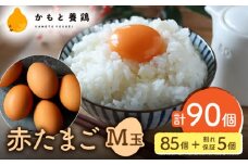 赤たまご M玉 90個（85個＋5個割れ保証）【農事組合法人 鹿本養鶏組合】 [ZCA002] タマゴ 玉子 熊本県 特産品