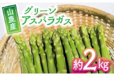【数量限定】【先行予約】 グリーン アスパラガス 約 2kg【中川 誠一】アスパラ 冷蔵 約2キロ 熊本 サラダ  [ZDM002]