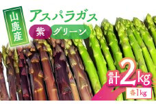 【数量限定】【先行予約】アスパラガス紫1kg・グリーン1kg【中川 誠一】アスパラ サラダ 2種 食べ比べ 熊本県産 [ZDM004]