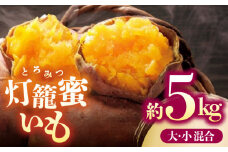 【限定数量】【先行予約】ブランド さつまいも「灯籠蜜いも とろみついも」約 10kg【株式会社 アグリファーム未来】 [ZDN001]