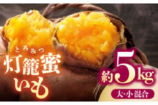 【先行予約】ブランド さつまいも「灯籠蜜いも とろみついも」約 10kg【株式会社 アグリファーム未来】 [ZDN001]