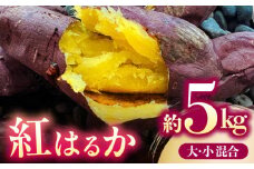 【限定数量】【先行予約】さつまいも 紅はるか 約 10kg【株式会社 アグリファーム未来】サツマイモ 芋 やきいも べにはるか 熊本 おいも [ZDN002]
