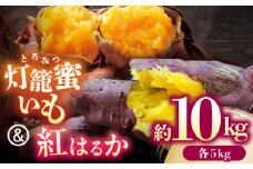 【限定数量】【先行予約】さつまいも 食べ比べ セット「灯籠蜜いも とろみついも」と「 紅はるか 」計約 10kg (各5kg)【株式会社 アグリファーム未来】おいも 熊本 芋   [ZDN003]