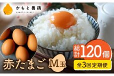 【全3回定期便】 【化粧箱入り】赤たまご M玉 40個 (37個＋割れ保証3個)【農事組合法人 鹿本養鶏組合】 [ZCA003] 贈答  鶏卵 玉子