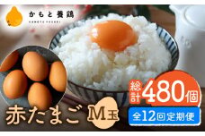 【全12回定期便】 【化粧箱入り】赤たまご M玉 40個 (37個＋割れ保証3個)【農事組合法人 鹿本養鶏組合】 [ZCA005] 贈答用 贈答  鶏卵 玉子