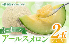 【先行予約】アールスメロン 約3.4kg～4kg （3L～4Lサイズ2玉入り）【鹿本農業協同組合】 [ZAG005]