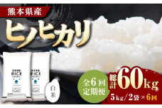 【全6回定期便】 ヒノヒカリ 白米 10kg【株式会社  農産ベストパートナー】 定期便 10kg 精米 特A ヒノヒカリ ひのひかり コメ 米 お米 熊本県 熊本県産 ごはん 白米  [ZBP048]