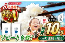 【全6回定期便】 森のくまさん 白米 10kg(5kg×2袋)【株式会社  農産ベストパートナー】 定期便 10kg 白米 精米 森のくまさん 特産品 コメ 米 お米 熊本県 熊本県産 [ZBP056]