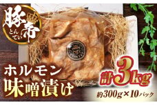 豚帝 豚 ホルモン 味噌漬け 3kg (300g×10)【KRAZY MEAT(小田畜産)】 豚肉 豚 ホルモン 小分け 国産 九州産 熊本県  [ZCP004]