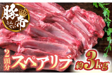 豚帝 スペアリブ 2頭分 (約3kg)【KRAZY MEAT(小田畜産)】 豚肉 豚 スペアリブ 焼肉 BBQ 煮込み 国産 熊本県  [ZCP005]