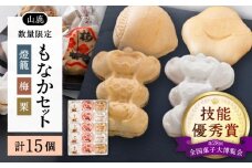 【数量限定】銘菓燈籠もなか・梅もなか・栗もなかのセット 計15個入り【早瀬錦堂】和菓子 最中 お茶菓子 お菓子 銘菓 熊本 菓子 小倉餡 白餡  [ZBE002]