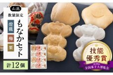 【数量限定】銘菓燈籠もなか・梅もなか・栗もなかのセット 計12個入り【早瀬錦堂】和菓子 最中 お茶菓子 お菓子 銘菓 熊本 菓子 小倉餡 白餡  [ZBE003]