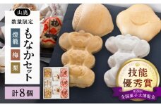 【数量限定】銘菓燈籠もなか・梅もなか・栗もなかのセット 計8個入り【早瀬錦堂】和菓子 最中 お茶菓子 お菓子 銘菓 熊本 菓子 小倉餡 白餡  [ZBE004]
