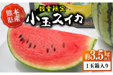 【先行予約】【数量限定】【初夏に実った贈り物】 小玉 スイカ 約3.5kg以上【なかむら農園】 [ZBH003]
