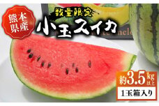 【先行予約】【初夏に実った贈り物】 小玉 スイカ 約3.5kg以上【なかむら農園】 [ZBH003]