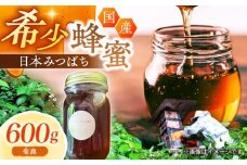 日本みつばち菊鹿約600g【山麓はっち】 [ZBM011] 蜂蜜 はちみつ ハチミツ 熊本県 特産品