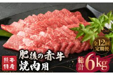 【全12回定期便】【数量限定】肥後の赤牛 焼肉 用約500g【山鹿市（桜屋）】 焼き肉用 焼肉 焼き肉 熊本県産 くまもと 熊本 数量限定 特産品 牛肉 [ZBO019]