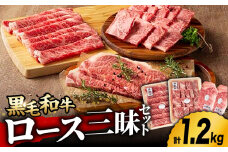 九州産 藤彩牛 ロース 三昧セット 3607 [ZDT009] 冷凍 国産 牛肉 やきにく 焼肉 ステーキ サーロイン