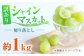 訳あり シャインマスカット 切り落とし 約1kg ブドウ 葡萄 ぶどう 国産 果物 くだもの フルーツ 熊本県 山鹿市