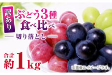 訳あり ぶどう3種 食べ比べ 切り落とし 計約1kg  【合同会社 社方園】わけあり ブドウ 熊本  [ZBZ009]