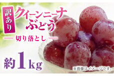 訳あり クイーンニーナ ぶどう 切り落とし 約1kg  ブドウ 葡萄 おすすめ 国産 熊本県 山鹿 果物 くだもの フルーツ 人気 ランキング ブランド キャンペーン 訳アリ 特産品 種類 産地 九州 食品 季節 評価 口コミ 送料無料 【合同会社 社方園】[ZBZ008]