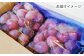 訳あり クイーンニーナ ぶどう 切り落とし 約1kg  ブドウ 葡萄 おすすめ 国産 熊本県 山鹿 果物 くだもの フルーツ
