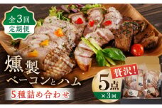 【3回定期便】燻製 ベーコン・ハム 5種詰め合わせ ベーコン ハム スペアリブ 燻製 スモーク 詰合せ 熊本県 特産品 5点 セット 豚肉 肉 ポーク 深燻 おかず ワイン や お酒 に合う おつまみ くんせい くん製 国産 九州 熊本 山鹿 冷凍 惣菜【燻製工房 縁】[ZBF024]