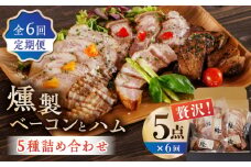 【6回定期便】燻製 ベーコン・ハム 5種詰め合わせ ベーコン ハム スペアリブ 燻製 スモーク 詰合せ 熊本県 特産品 5点 セット 豚肉 肉 ポーク 深燻 おかず ワイン や お酒 に合う おつまみ くんせい くん製 国産 九州 熊本 山鹿 冷凍 惣菜【燻製工房 縁】 [ZBF025]