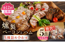 【12回定期便】燻製 ベーコン・ハム 5種詰め合わせ ベーコン ハム スペアリブ 燻製 スモーク 詰合せ 熊本県 特産品 5点 セット 豚肉 肉 ポーク 深燻 おかず ワイン や お酒 に合う おつまみ くんせい くん製 国産 九州 熊本 山鹿 冷凍 惣菜【燻製工房 縁】[ZBF026]