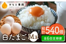 【全6回定期便】白たまご M玉 90個（85個＋5個割れ保証）【農事組合法人 鹿本養鶏組合】 [ZCA007] 鶏卵 玉子 たまごかけご飯