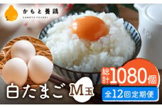 【全12回定期便】白たまご M玉 90個（85個＋5個割れ保証）【農事組合法人 鹿本養鶏組合】 [ZCA008] 鶏卵 玉子 たまごかけご飯 卵かけご飯 卵焼き 白卵 白たまご 定期便