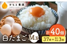 【化粧箱入り】白たまご M玉 40個（37個＋3個割れ保証）【農事組合法人 鹿本養鶏組合】 [ZCA009] 贈答用 贈答  鶏卵 玉子