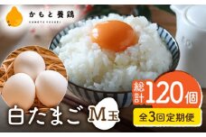 【全3回定期便】【化粧箱入り】白たまご M玉 40個（37個＋3個割れ保証）【農事組合法人 鹿本養鶏組合】 [ZCA010] 贈答用 贈答  鶏卵 玉子 たまごかけご飯