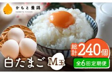 【全6回定期便】【化粧箱入り】白たまご M玉 40個（37個＋3個割れ保証）【農事組合法人 鹿本養鶏組合】 [ZCA011] 贈答用 贈答  鶏卵 玉子 たまごかけご飯