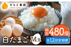 【全12回定期便】【化粧箱入り】白たまご M玉 40個（37個＋3個割れ保証）【農事組合法人 鹿本養鶏組合】 [ZCA012] 贈答用 贈答  鶏卵 玉子 たまごかけご飯