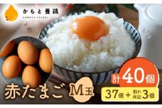 【化粧箱入り】赤たまご M玉 40個（37個＋3個割れ保証）【農事組合法人 鹿本養鶏組合】 [ZCA013] 贈答用 贈答  鶏卵 玉子 たまごかけご飯
