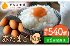 【全6回定期便】赤たまご M玉 90個（85個＋5個割れ保証）【農事組合法人 鹿本養鶏組合】 [ZCA015] 鶏卵 玉子 たまごかけご飯