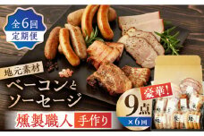 【6回定期便】燻製職人が手づくり地元素材のベーコンソーセージ豪華9点セット 国産 燻製 スモーク ベーコン ハム ソーセージ フランクフルト 熊本県 おつまみ 【燻製工房 縁】[ZBF064]